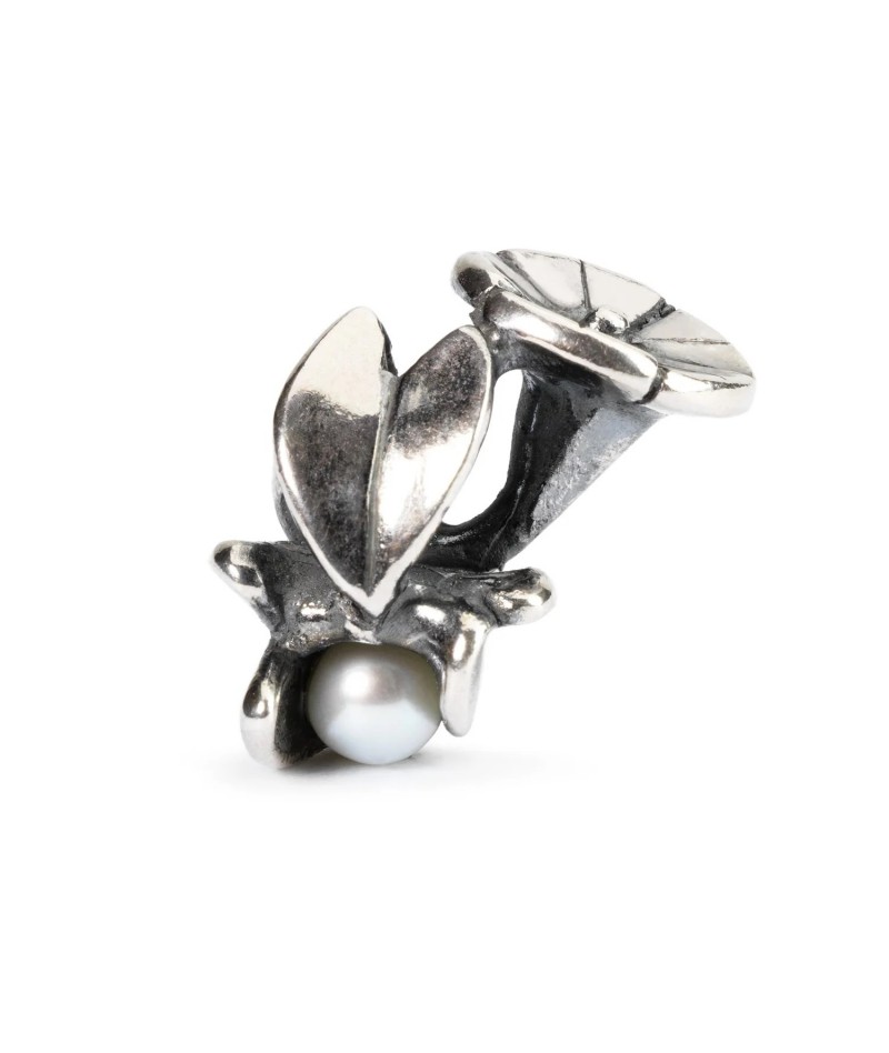 Trollbeads - Convolvolo di Settembre TAGBE-00035